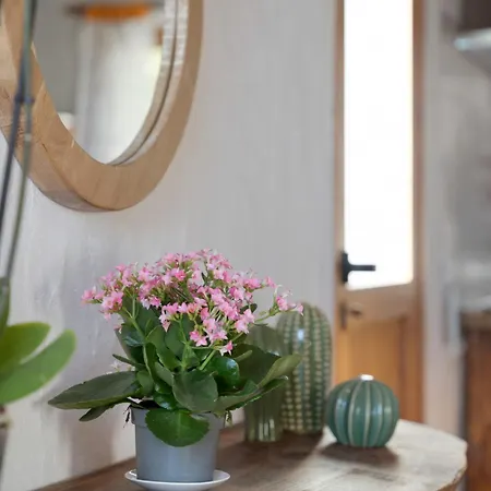 El Rincon De Yeico *